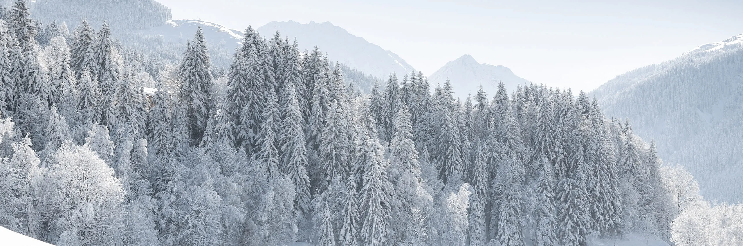 Die Region im Winter